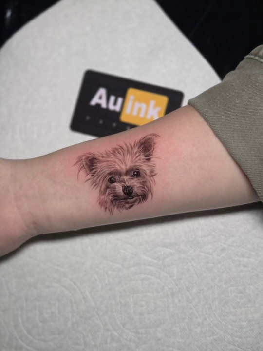 Dog portrait, portraits & characters tattoo by Aurelio Dinorog III in Panglao, Bohol