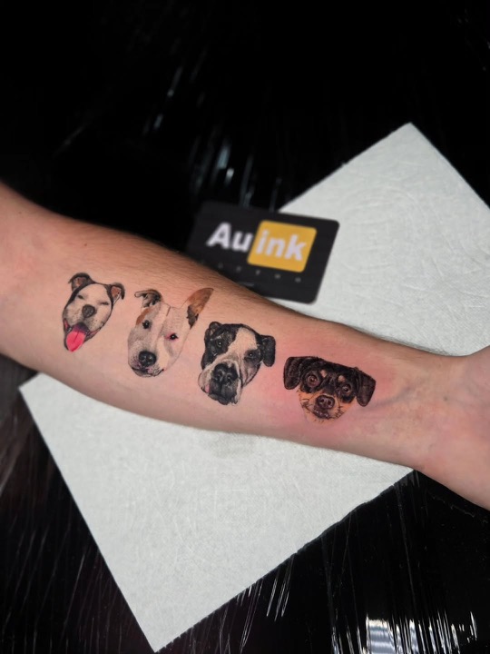Pet portrait trio, portraits tattoo by Aurelio Dinorog III