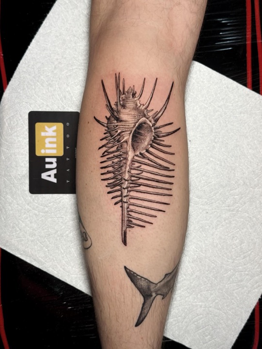 Murex shell, realism tattoo by Aurelio Dinorog III